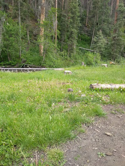 Comstock Campground Picture 4