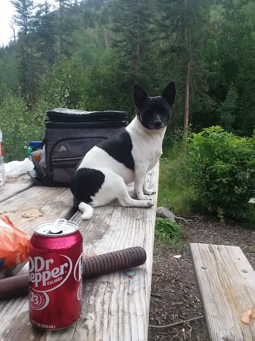 Comstock Campground Picture 10