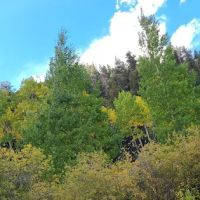 Rock Creek Campground ico