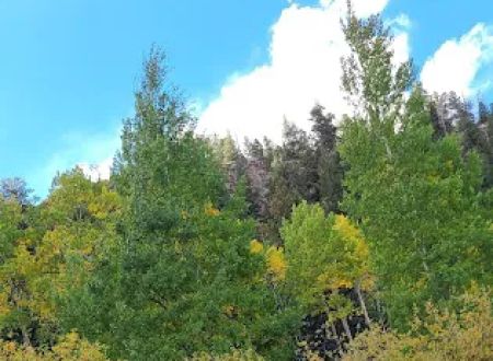 Rock Creek Campground