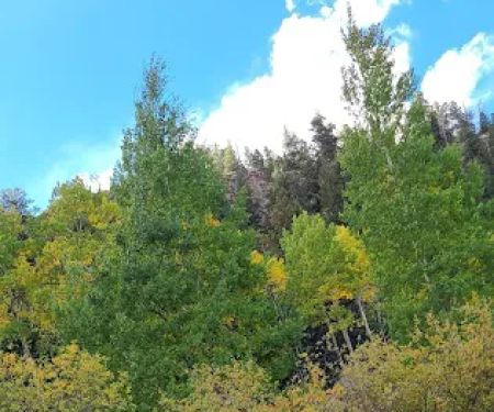 Rock Creek Campground