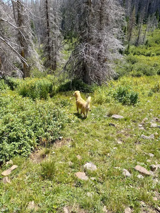 Rock Creek Campground Picture 8
