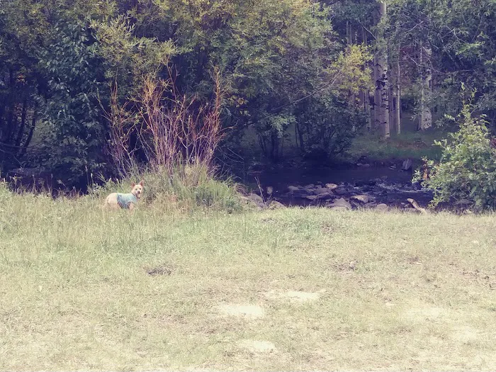 Rock Creek Campground Picture 3