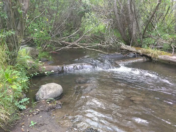 Rock Creek Campground Picture 7