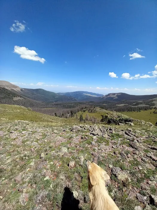 Rock Creek Campground Picture 10
