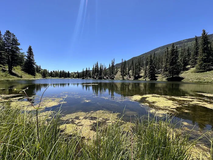 Spectacle Lake Fishing Site (recgovnpsdata) Picture 3