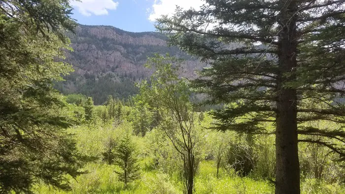Spectacle Lake Campground Picture 10