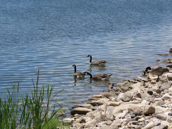 Lake Capote Recreation Area Picture 6