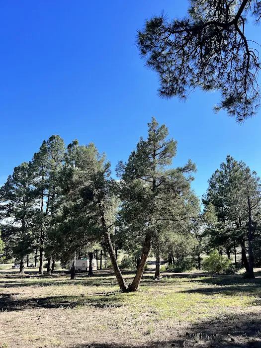 Lake Capote Recreation Area Picture 1