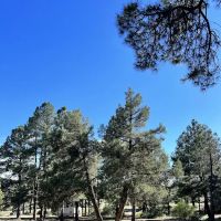 Lake Capote Recreation Area ico