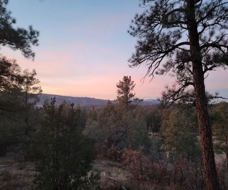Ute Campground