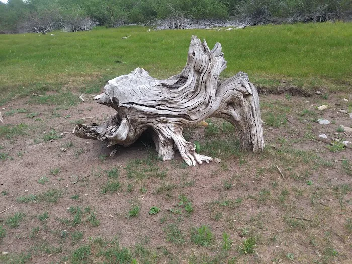 North Canyon Campground Picture 10