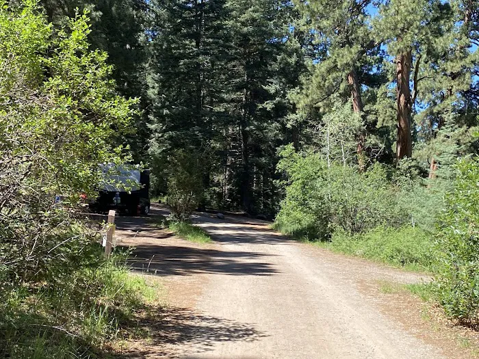 Graham Creek Campground Picture 2