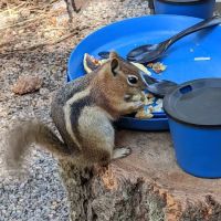 Graham Creek Campground ico
