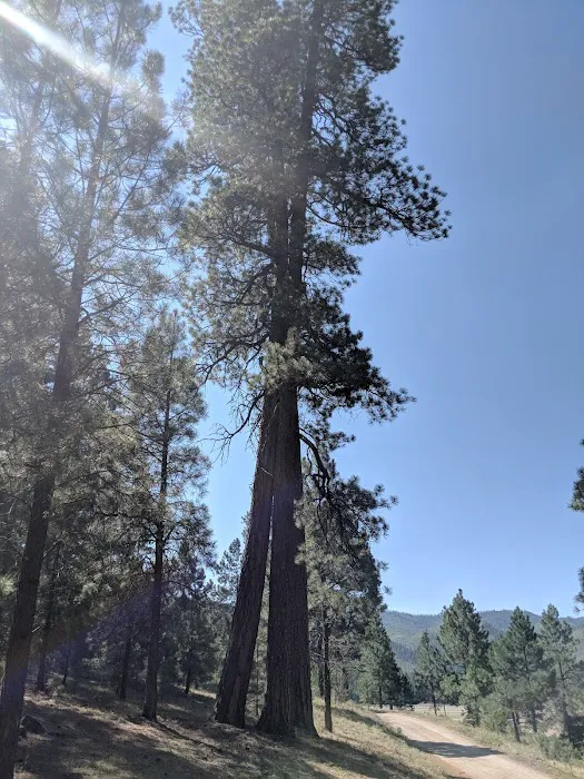 Middle Mountain Campground Picture 7