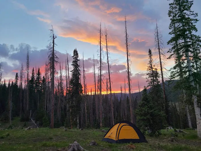 Trujillo Meadows Campground Picture 1
