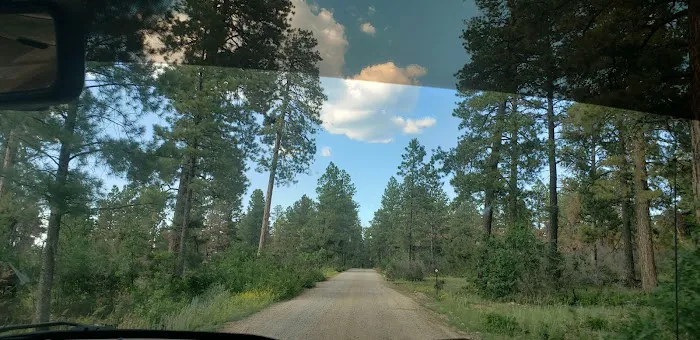 Trout Lakes Campground Picture 3