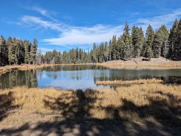 Trout Lakes Campground Picture 1