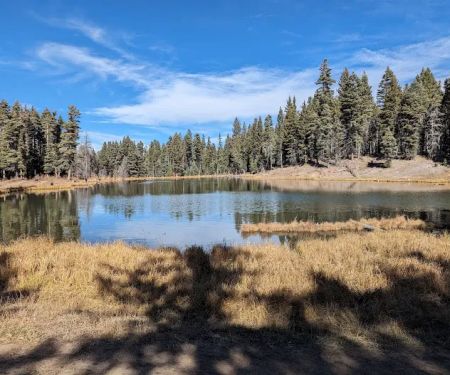 Trout Lakes Campground