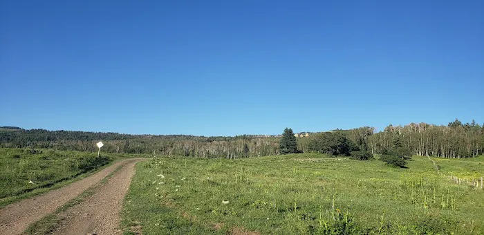 Trout Lakes Campground Picture 4