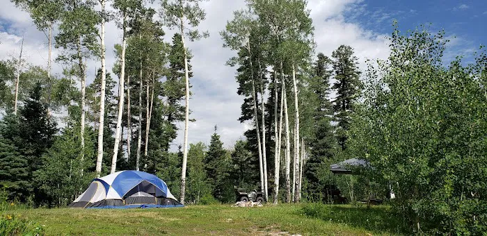 Trout Lakes Campground Picture 5