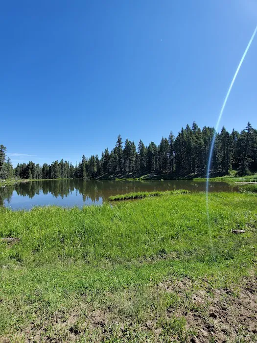 Trout Lakes Campground Picture 9