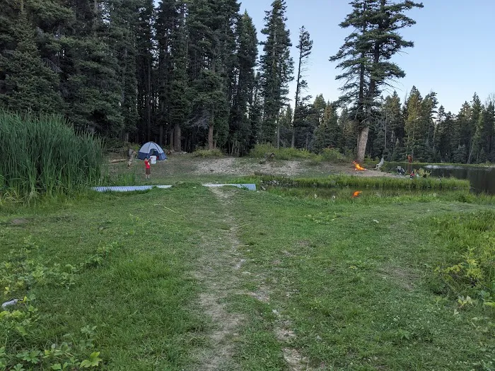 Trout Lakes Campground Picture 7