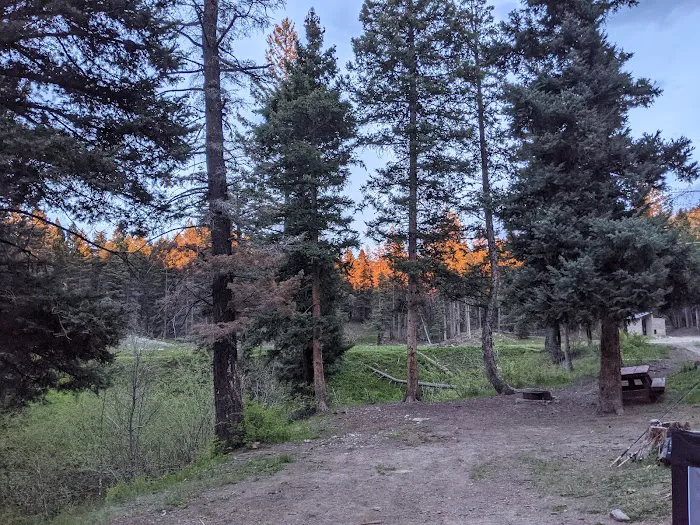 Trout Lakes Campground Picture 10