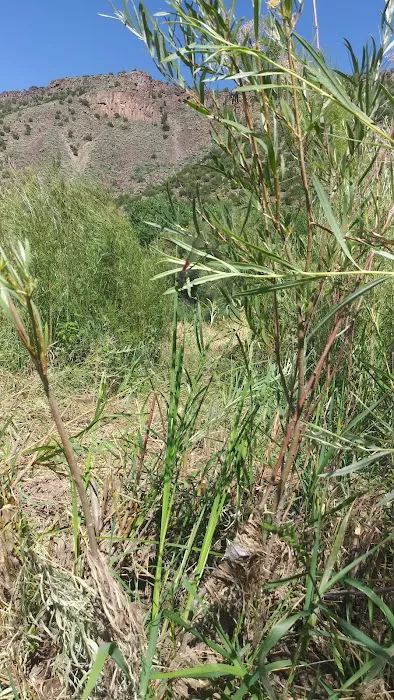 Las Petacas Campground Picture 8