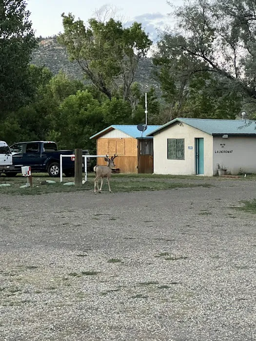 Ponil Camp Grounds Picture 8