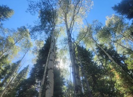 Sig Creek Campground