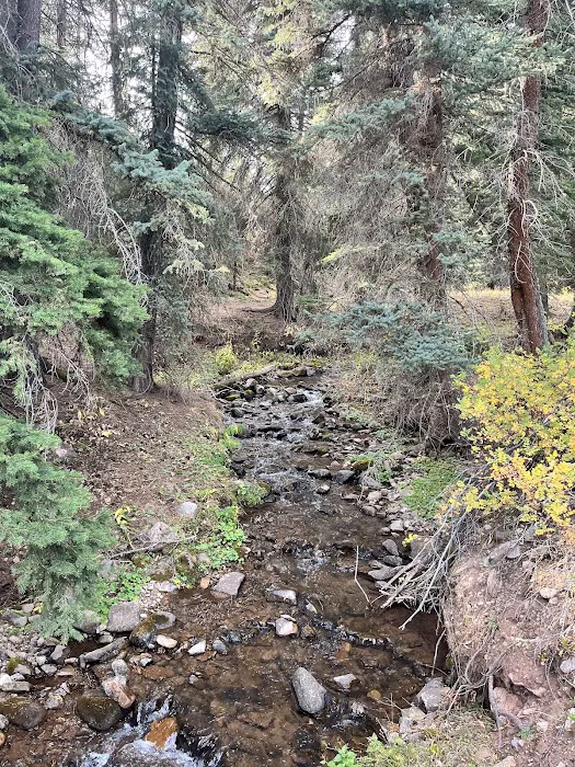 Sig Creek Campground Picture 9