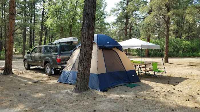 Junction Creek Campground Picture 3