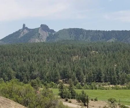 Junction Creek Campground