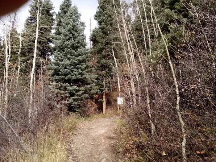 Junction Creek Campground Picture 4