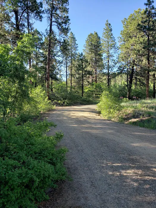 Haviland Lake Campground Picture 3
