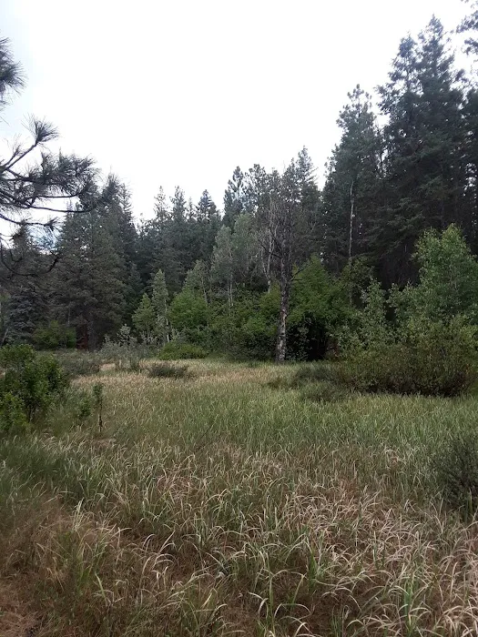 Haviland Lake Campground Picture 9