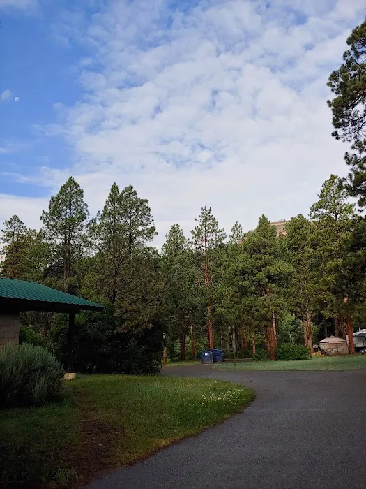 Chris Park Group Campground Picture 3