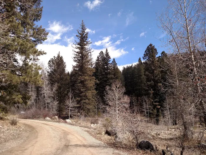 Miller Creek Campground Picture 3