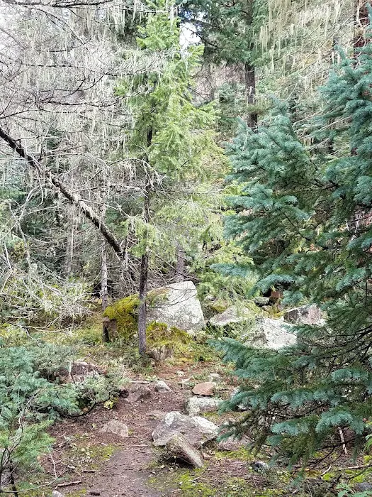 Miller Creek Campground Picture 1