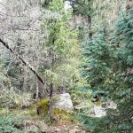 Miller Creek Campground