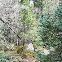 Miller Creek Campground ico