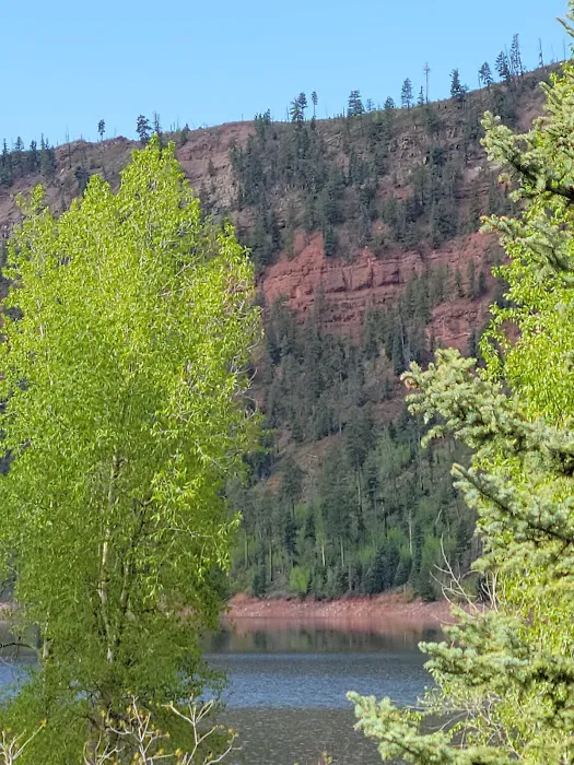 Miller Creek Campground Picture 7