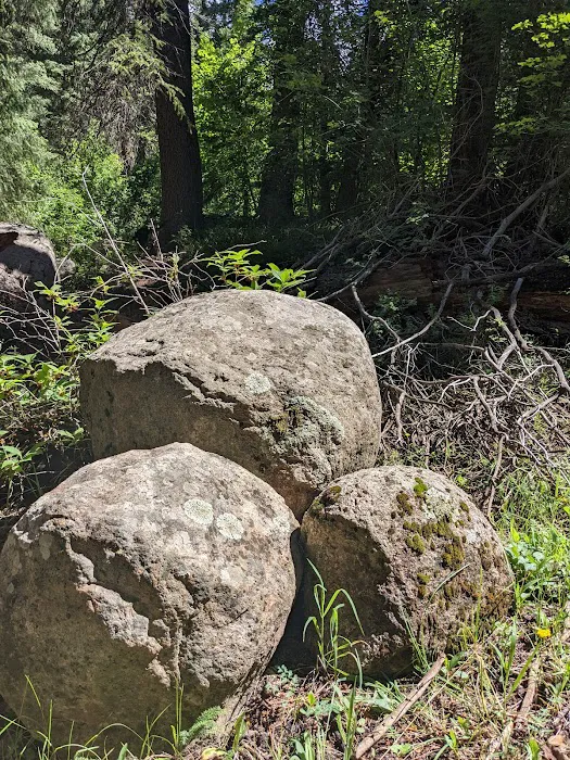 Miller Creek Campground Picture 9