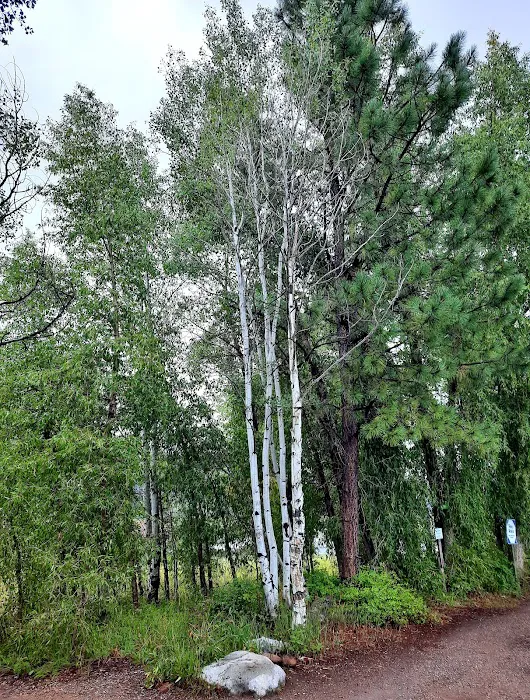 Miller Creek Campground Picture 8