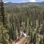 Transfer Park Campground