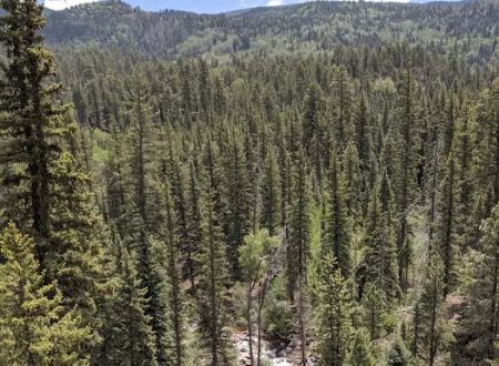 Transfer Park Campground