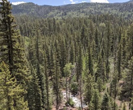 Transfer Park Campground