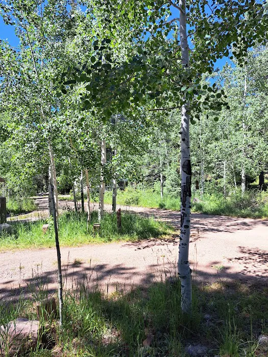 Transfer Park Campground Picture 6
