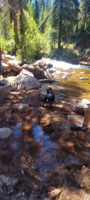 Transfer Park Campground Picture 4